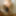 Sodomie (suite) #21