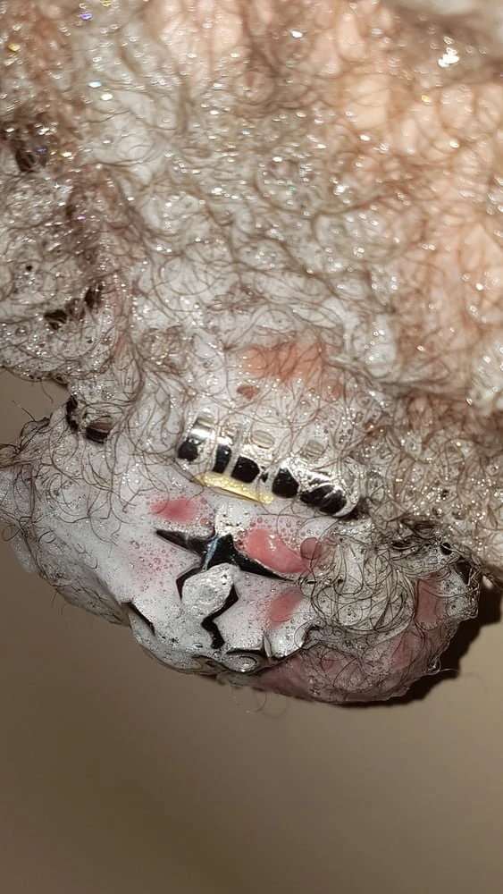 Chastity cage #3