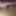 楽しい写真