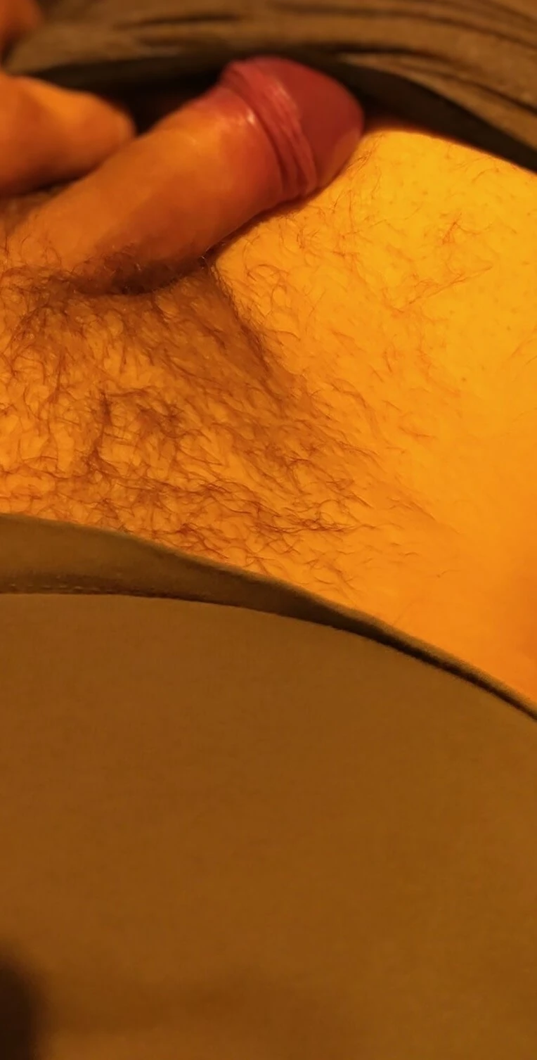 Average Dick #2