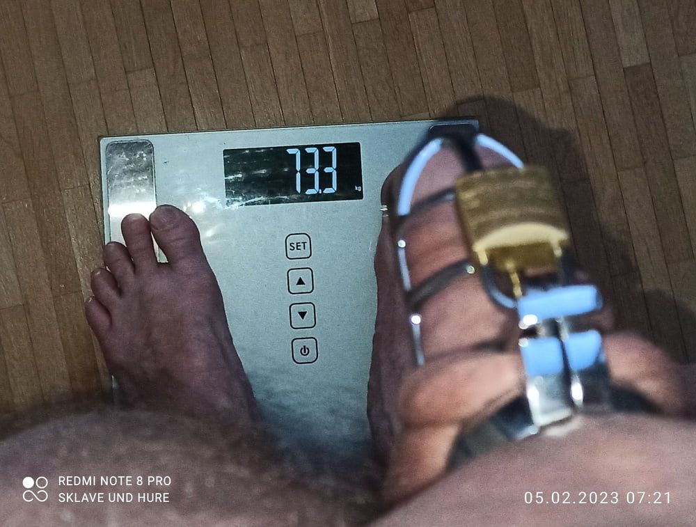 weighing, cagecheck, nippletorture of 05.02.2023 #7