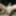 Upskirt Nude in Public