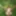 Horny nature girl