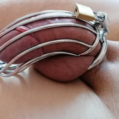 chastity cock
