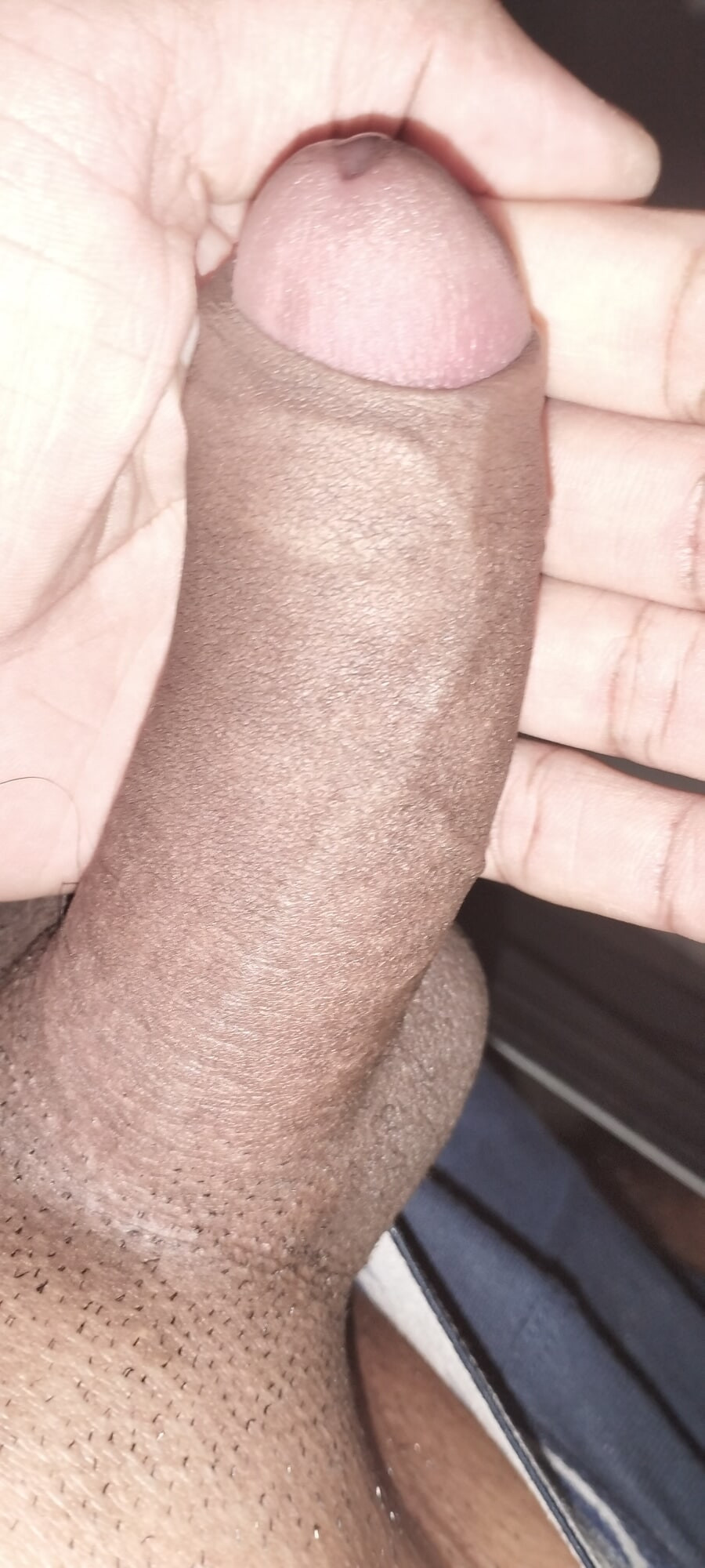 Deshi Dick #2
