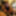 Big dick pic gallery or small dick pic gallery humiliation 