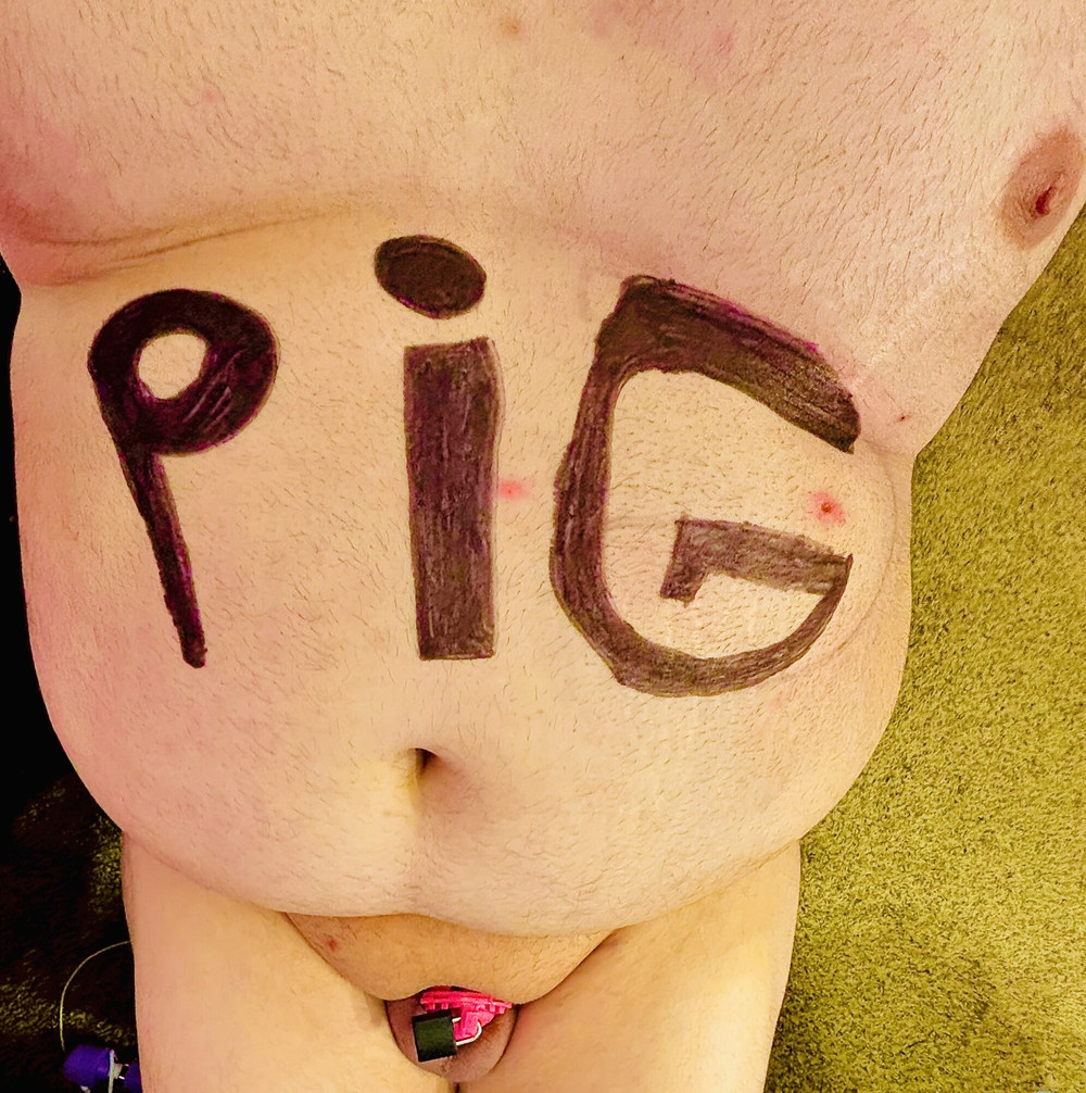 sissy chastity pig slave #12