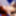 RAIN0090 Alice Mayflower vs Eva Ray Sexfight #10