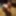 Vixxen  Free Photos