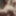Out of control jockslut masturbator