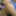 私のGIF