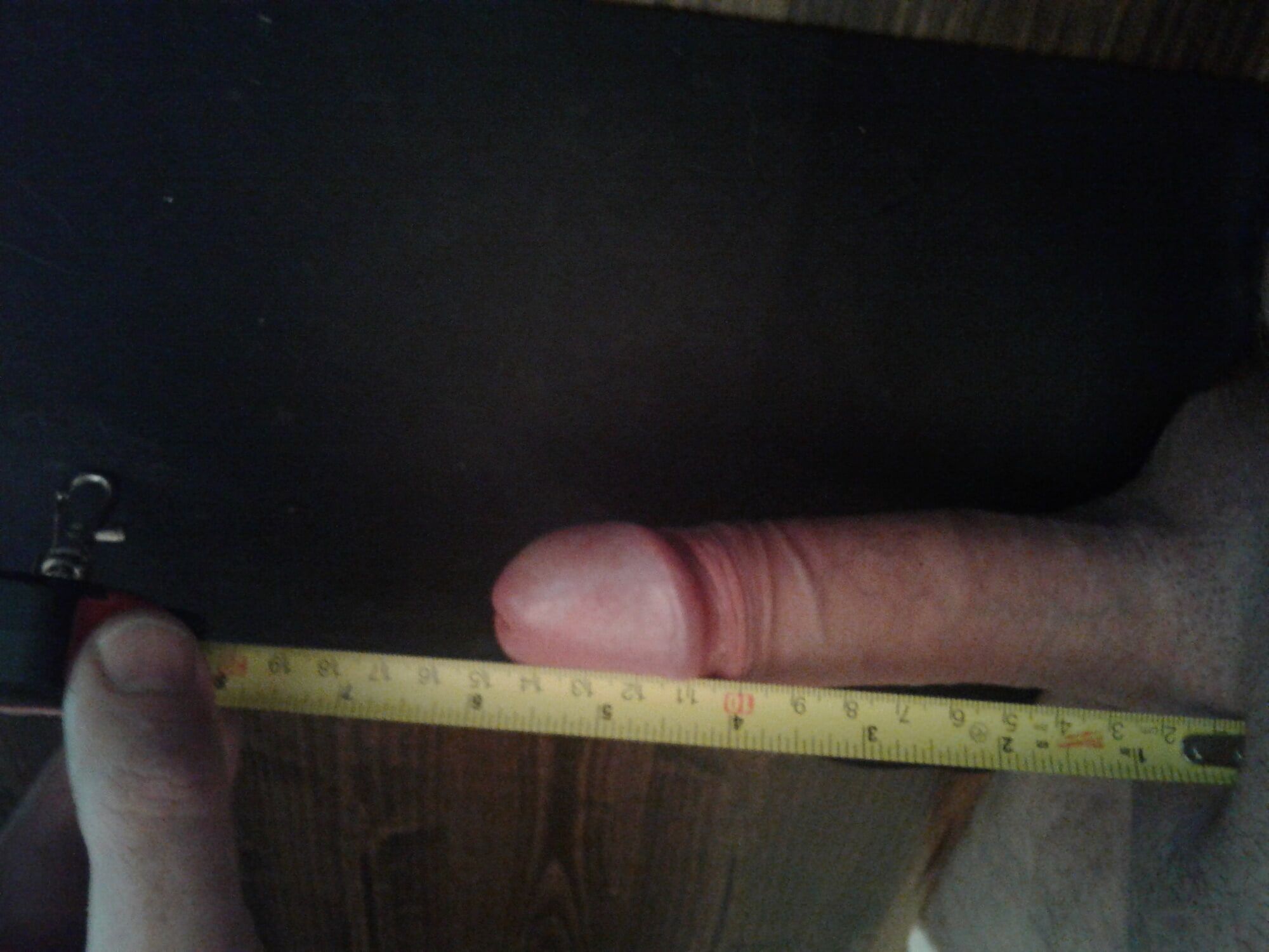 Measuring My Penis #12