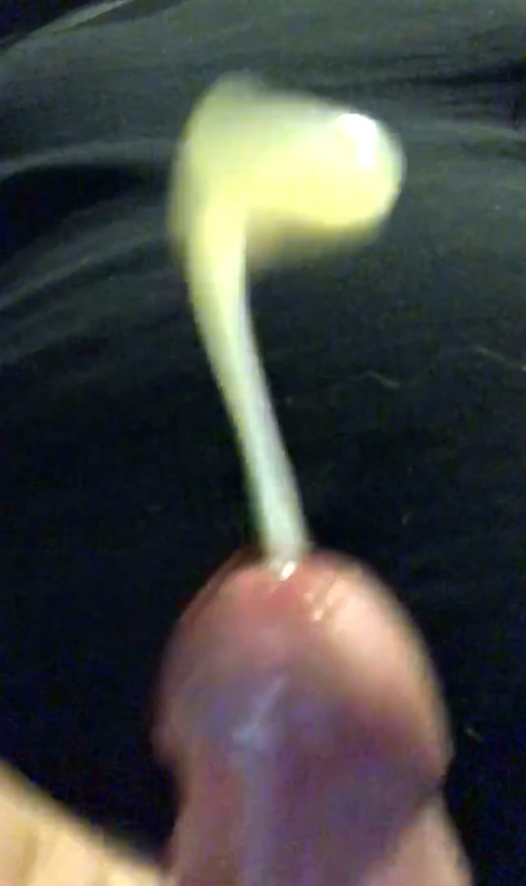 Ladies !... My juicy cock !... #2