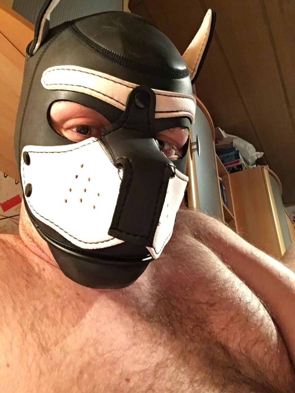 DogPlay Fetish #8