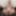 Mandatory weighing cagecheck plugcheck January 04, 2024 #12