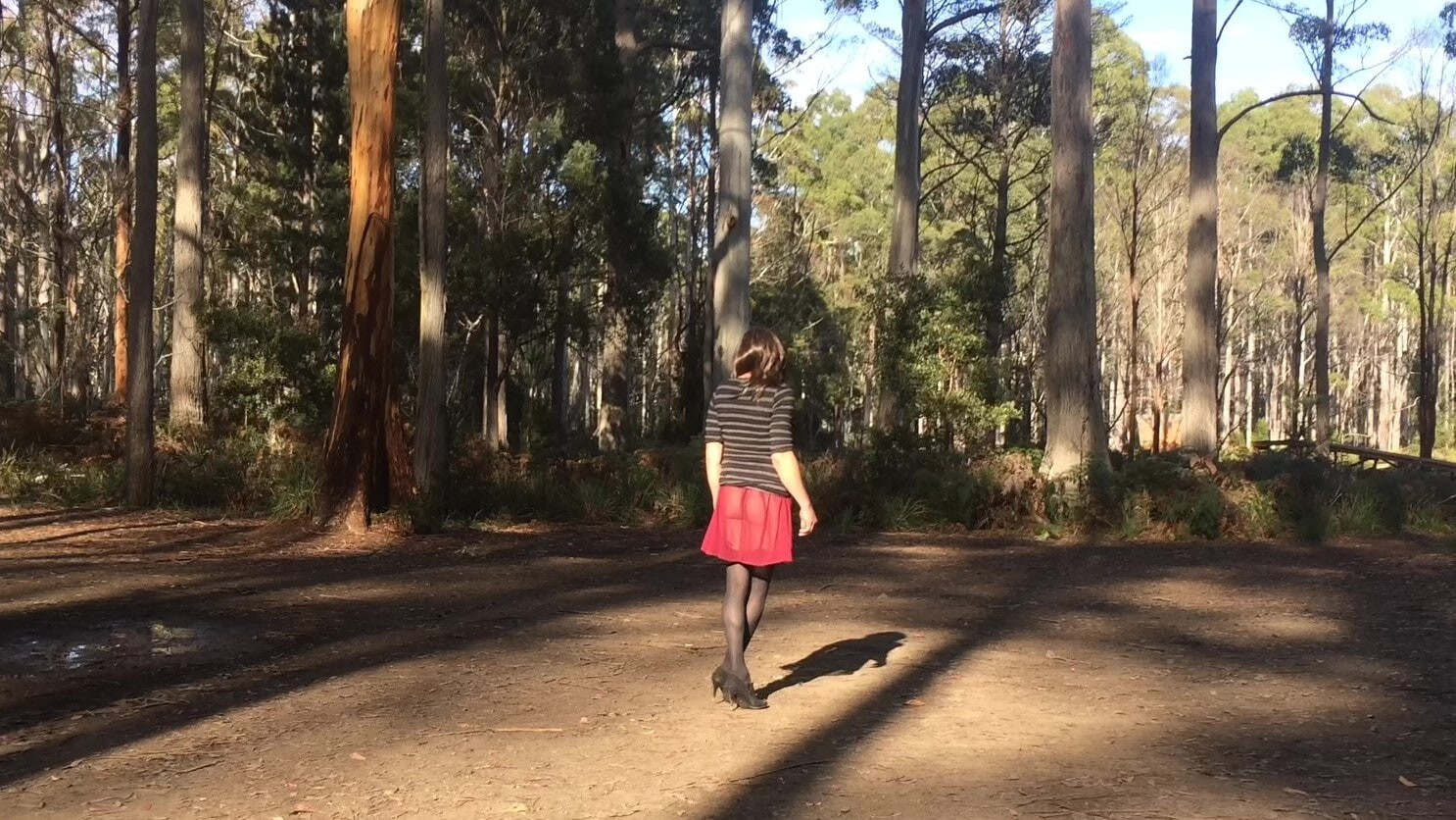 Crossdress Roadtrip - Semi Transparent Skirt 3 #19