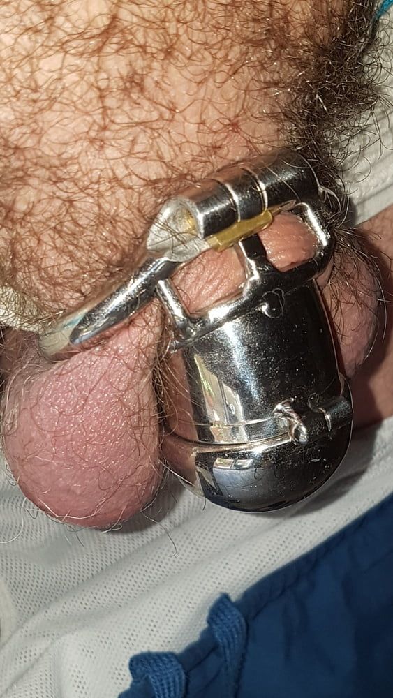 Chastity cage #37