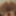 some new stuff for you guys #3