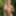 naked forest fairy