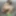 Sissfied Anal PAWG Beautiful Face of a Sissifed Bimbo Slut #21