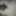 Cumshots gallery  #3