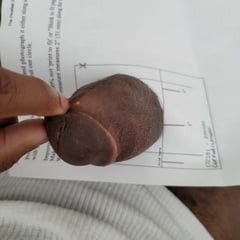 Did a girth test and got stuck...