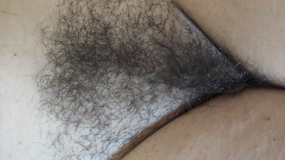 My Hairy Pussy #7