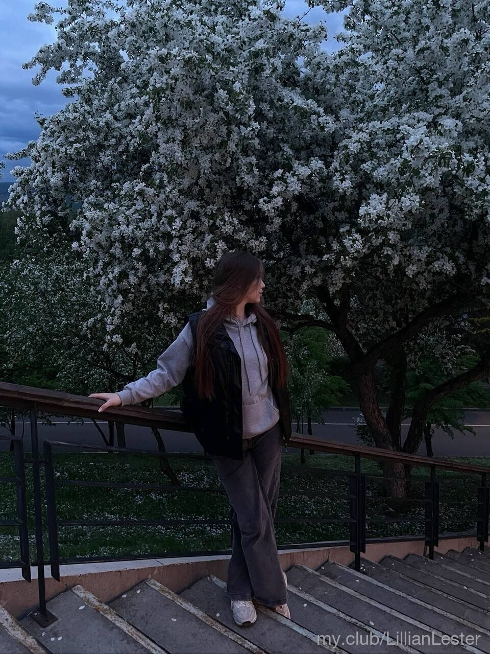 Lily Free Photos #41
