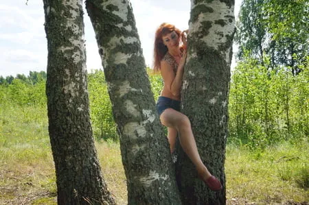 red hair and birch         