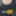 Porn Hub Star
