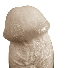 cock