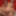 Horny amateur latinas Mora and Natalin sharing cock  #4