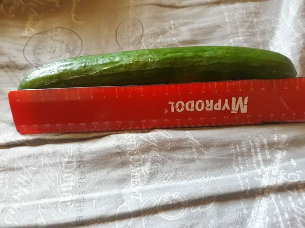 Fucking my pussy with a massive cucumber ? almost didn fit #13