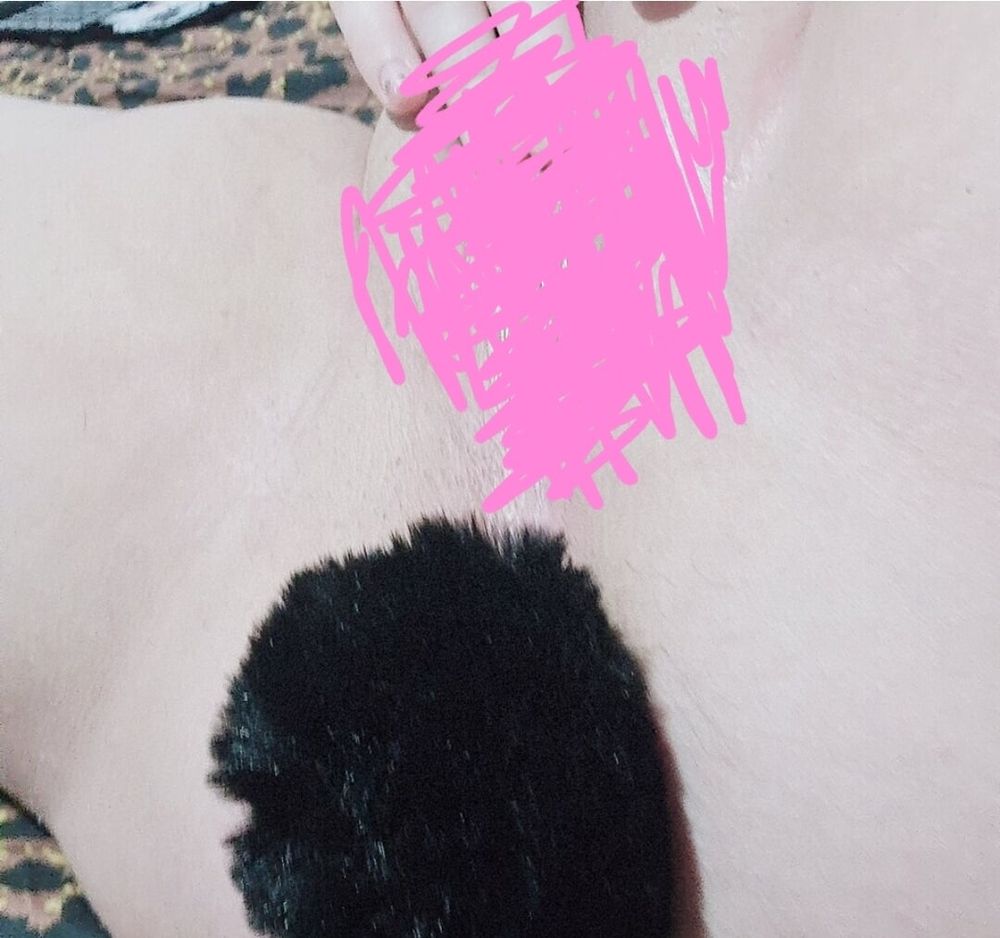 Bunny tail buttplug censored  #2