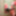 2025年4月からのさまざまなTVBclownの痴女写真