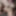 Out of control jockslut masturbator #10