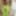 Amateur crossdresser Kellycd2022 holiday in white stockings #17