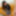Emi Sakurai :: Debut Vol.58 - CARIBBEANCOM #7
