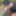 Sissy und ihr Napf #3