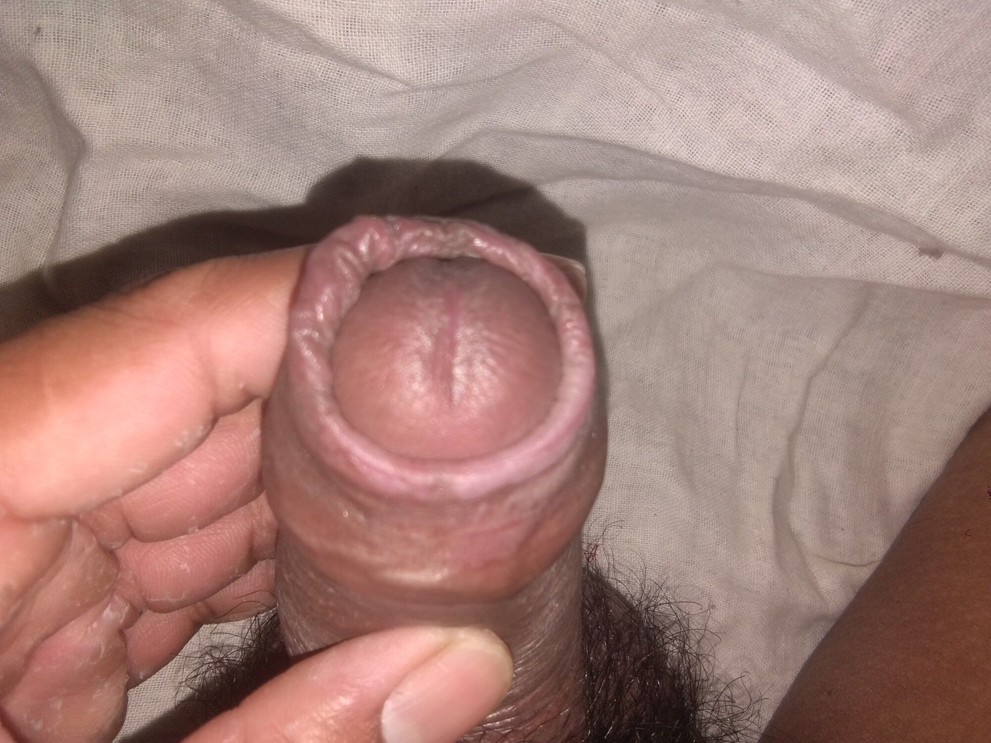 MY PENIS DICK COCK LUND PICTURE PHOTO #13