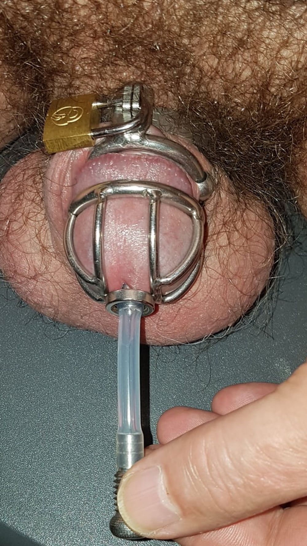 Urethral insertion #30