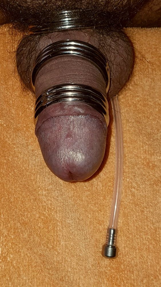 Cock ring #36