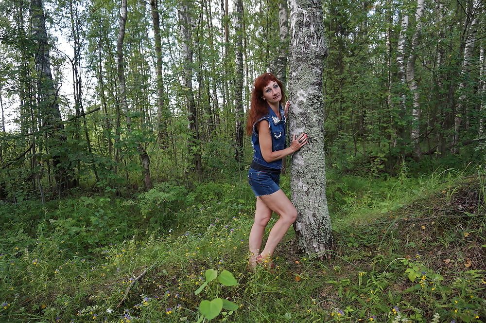 In birch Forest #8