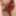 Tygra babe eat the two sides of large cumcumber. #3