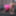 TGIRL40: MILF in Pink #4
