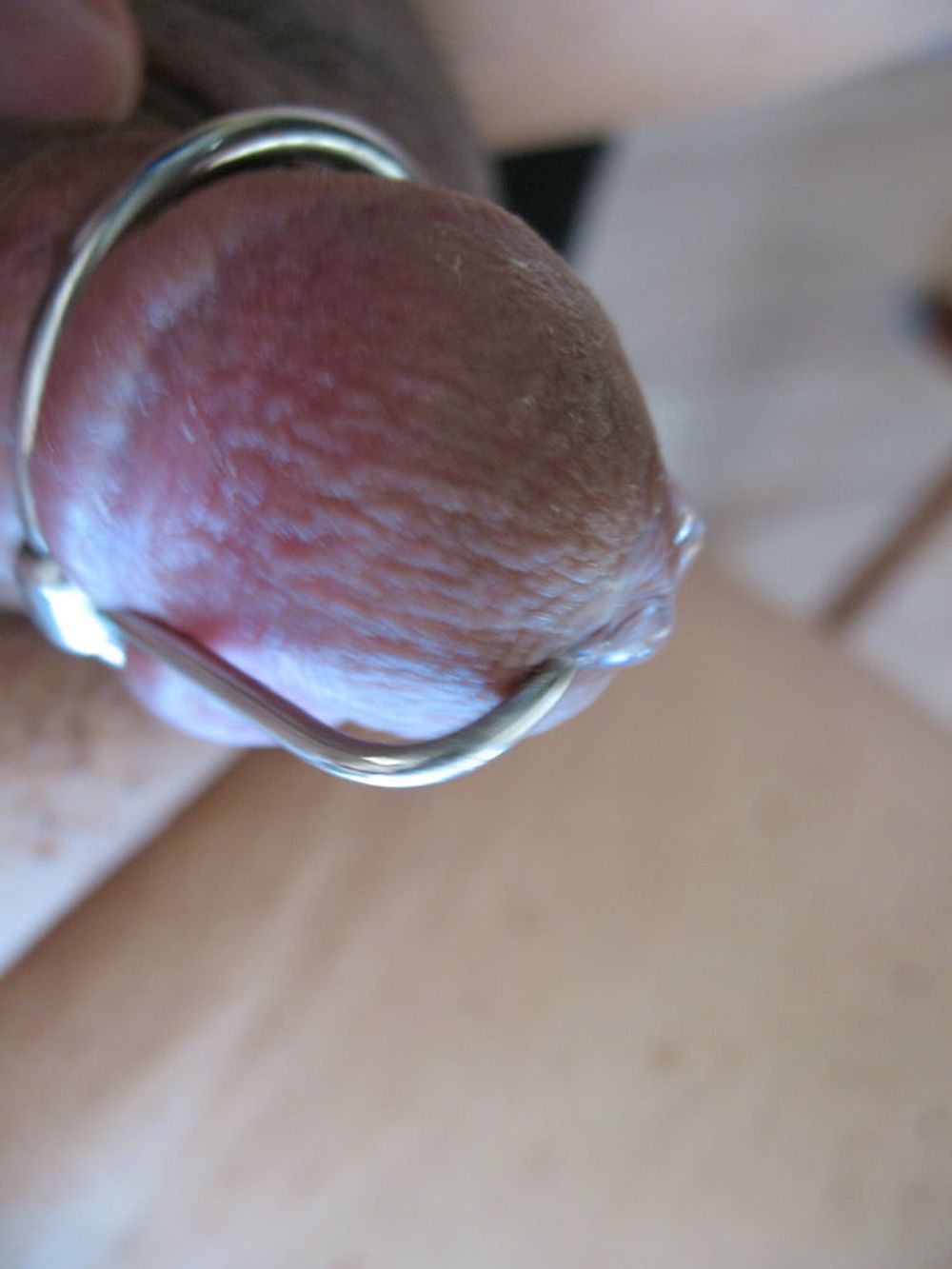 More steel in my cock with glans ring #21