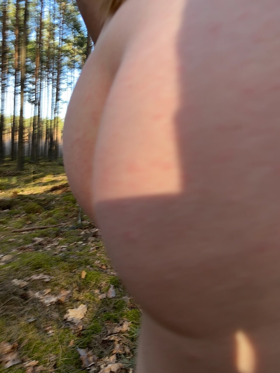 Forest Walk & Workout #41