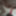 new Clips sonntag #4