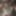 Faggot Brandon Hippel exposed  #16