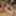 Sex orgy with hot girls under Xmas tree